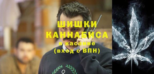 шишки Алзамай