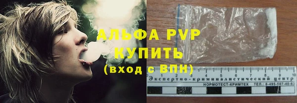шишки Алзамай