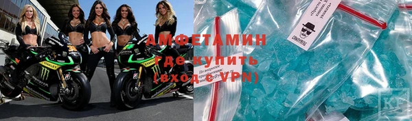 шишки Алзамай