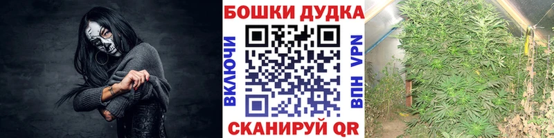 Марихуана конопля  Чебоксары 